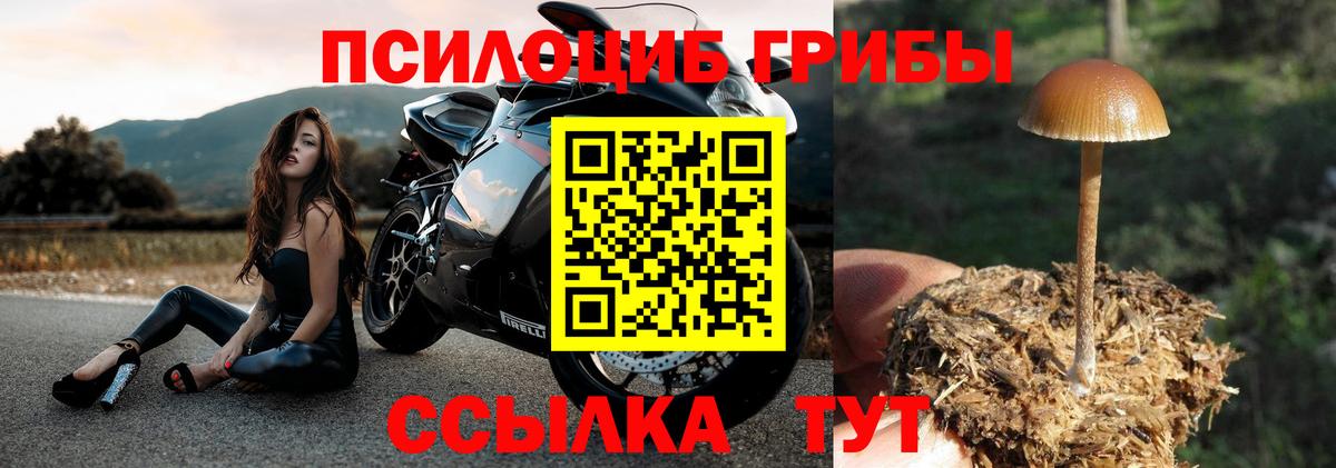 Псилоцибиновые грибы прущие грибы  Вход с VPN  Вологда 