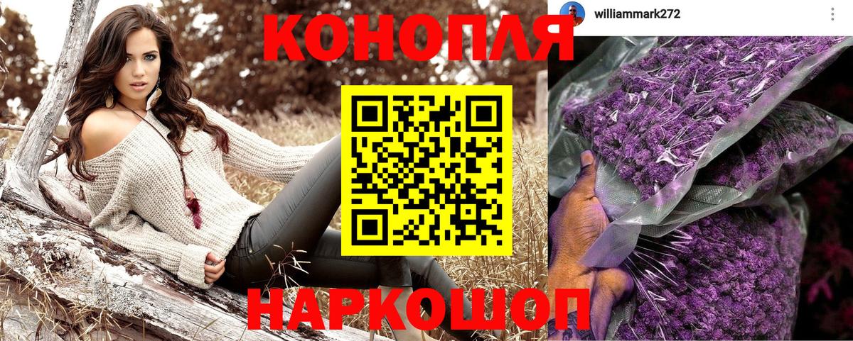 Конопля семена  Каннабис марихуана  МАРИХУАНА OG Kush  Вологда  Вход с VPN 