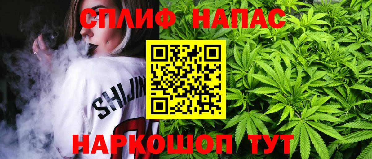 Канабис семена Вологда